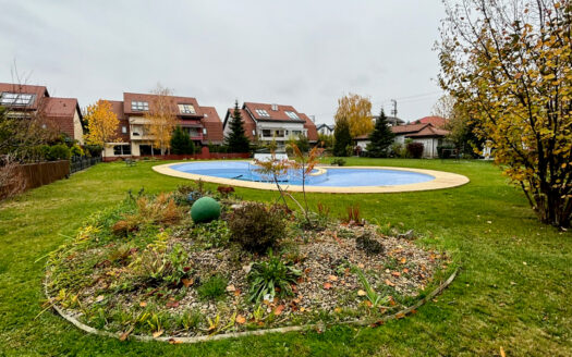 VILA DEOSEBITA-PIPERA-IANCU NICOLAE-PET FRIENDLY CP2243890